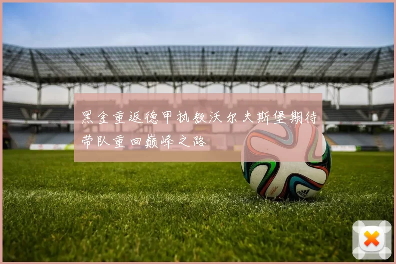 黑金重返德甲执教沃尔夫斯堡期待带队重回巅峰之路
